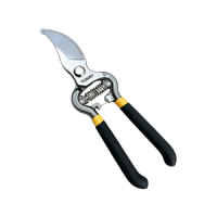 СЕКАТОРЫ