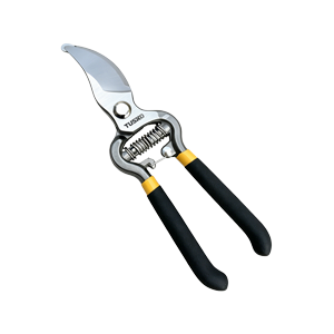 СЕКАТОРЫ
